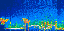 /calipso-imagery/data/BROWSE/production/V5-00/2022-01-04/2022-01-04_03-26-21_V5.00_1_thmb.png image missing
