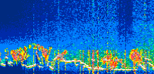 /calipso-imagery/data/BROWSE/production/V5-00/2022-01-04/2022-01-04_05-04-51_V5.00_1_thmb.png image missing