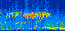 /calipso-imagery/data/BROWSE/production/V5-00/2022-01-04/2022-01-04_05-04-51_V5.00_3_thmb.png image missing