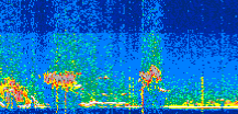 /calipso-imagery/data/BROWSE/production/V5-00/2022-01-04/2022-01-04_08-21-51_V5.00_2_thmb.png image missing