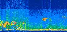 /calipso-imagery/data/BROWSE/production/V5-00/2022-01-04/2022-01-04_11-38-52_V5.00_2_thmb.png image missing