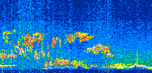 /calipso-imagery/data/BROWSE/production/V5-00/2022-01-04/2022-01-04_13-17-22_V5.00_3_thmb.png image missing