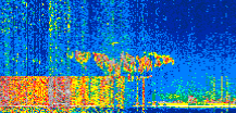 /calipso-imagery/data/BROWSE/production/V5-00/2022-01-04/2022-01-04_16-34-22_V5.00_3_thmb.png image missing
