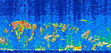 /calipso-imagery/data/BROWSE/production/V5-00/2022-01-05/2022-01-05_05-42-29_V5.00_3_thmb.png image missing