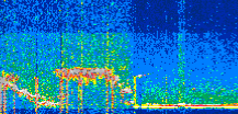 /calipso-imagery/data/BROWSE/production/V5-00/2022-01-05/2022-01-05_07-20-59_V5.00_2_thmb.png image missing