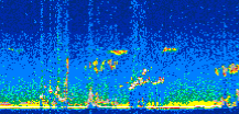 /calipso-imagery/data/BROWSE/production/V5-00/2022-01-05/2022-01-05_07-20-59_V5.00_3_thmb.png image missing