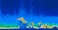 /calipso-imagery/data/BROWSE/production/V5-00/2022-01-05/2022-01-05_12-16-30_V5.00_4_thmb.png image missing