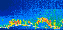 /calipso-imagery/data/BROWSE/production/V5-00/2022-01-05/2022-01-05_22-07-36_V5.00_1_thmb.png image missing