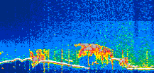 /calipso-imagery/data/BROWSE/production/V5-00/2022-01-05/2022-01-05_23-46-06_V5.00_1_thmb.png image missing