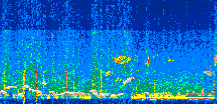 /calipso-imagery/data/BROWSE/production/V5-00/2022-01-05/2022-01-05_23-46-06_V5.00_2_thmb.png image missing