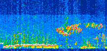 /calipso-imagery/data/BROWSE/production/V5-00/2022-01-28/2022-01-28_02-05-36_V5.00_2_thmb.png image missing