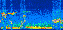 /calipso-imagery/data/BROWSE/production/V5-00/2022-01-28/2022-01-28_02-05-36_V5.00_3_thmb.png image missing