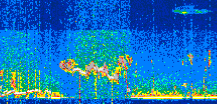/calipso-imagery/data/BROWSE/production/V5-00/2022-01-30/2022-01-30_00-03-57_V5.00_2_thmb.png image missing