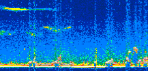 /calipso-imagery/data/BROWSE/production/V5-00/2022-01-30/2022-01-30_01-42-27_V5.00_3_thmb.png image missing