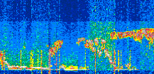 /calipso-imagery/data/BROWSE/production/V5-00/2022-01-30/2022-01-30_03-21-02_V5.00_2_thmb.png image missing