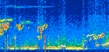 /calipso-imagery/data/BROWSE/production/V5-00/2022-01-30/2022-01-30_03-21-02_V5.00_3_thmb.png image missing