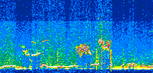 /calipso-imagery/data/BROWSE/production/V5-00/2022-01-30/2022-01-30_08-16-33_V5.00_2_thmb.png image missing