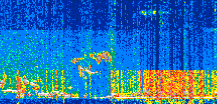 /calipso-imagery/data/BROWSE/production/V5-00/2022-01-30/2022-01-30_14-50-34_V5.00_2_thmb.png image missing