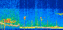 /calipso-imagery/data/BROWSE/production/V5-00/2022-01-31/2022-01-31_07-15-46_V5.00_2_thmb.png image missing