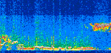 /calipso-imagery/data/BROWSE/production/V5-00/2022-01-31/2022-01-31_10-32-46_V5.00_2_thmb.png image missing