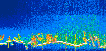 /calipso-imagery/data/BROWSE/production/V5-00/2022-01-31/2022-01-31_12-11-16_V5.00_1_thmb.png image missing