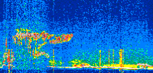 /calipso-imagery/data/BROWSE/production/V5-00/2022-01-31/2022-01-31_12-11-16_V5.00_3_thmb.png image missing