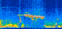 /calipso-imagery/data/BROWSE/production/V5-00/2022-01-31/2022-01-31_15-28-17_V5.00_3_thmb.png image missing