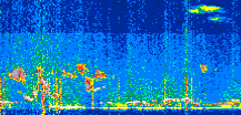 /calipso-imagery/data/BROWSE/production/V5-00/2022-01-31/2022-01-31_22-02-23_V5.00_2_thmb.png image missing