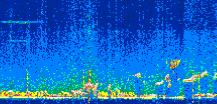 /calipso-imagery/data/BROWSE/production/V5-00/2022-01-31/2022-01-31_22-02-23_V5.00_3_thmb.png image missing