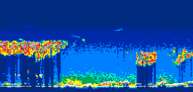 /calipso-imagery/data/BROWSE/production/V5-00/2022-01-31/2022-01-31_22-55-03_V5.00_3_thmb.png image missing