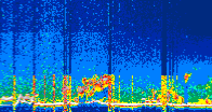 /calipso-imagery/data/BROWSE/production/V5-00/2022-02-04/2022-02-04_04-50-57_V5.00_4_thmb.png image missing