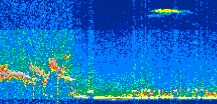 /calipso-imagery/data/BROWSE/production/V5-00/2022-02-04/2022-02-04_21-16-05_V5.00_2_thmb.png image missing