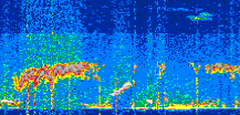 /calipso-imagery/data/BROWSE/production/V5-00/2022-02-04/2022-02-04_22-54-35_V5.00_2_thmb.png image missing