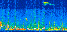 /calipso-imagery/data/BROWSE/production/V5-00/2022-02-06/2022-02-06_22-31-31_V5.00_2_thmb.png image missing