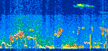 /calipso-imagery/data/BROWSE/production/V5-00/2022-02-07/2022-02-07_00-10-01_V5.00_2_thmb.png image missing