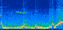 /calipso-imagery/data/BROWSE/production/V5-00/2022-02-07/2022-02-07_01-48-31_V5.00_3_thmb.png image missing