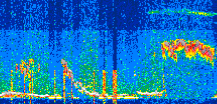 /calipso-imagery/data/BROWSE/production/V5-00/2022-02-07/2022-02-07_03-27-02_V5.00_2_thmb.png image missing