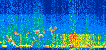 /calipso-imagery/data/BROWSE/production/V5-00/2022-02-07/2022-02-07_14-56-38_V5.00_2_thmb.png image missing