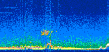 /calipso-imagery/data/BROWSE/production/V5-00/2022-02-07/2022-02-07_21-30-39_V5.00_3_thmb.png image missing