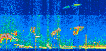 /calipso-imagery/data/BROWSE/production/V5-00/2022-02-08/2022-02-08_23-46-52_V5.00_2_thmb.png image missing