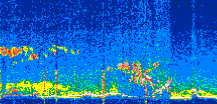 /calipso-imagery/data/BROWSE/production/V5-00/2022-02-28/2022-02-28_13-21-41_V5.00_3_thmb.png image missing