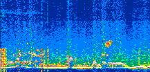/calipso-imagery/data/BROWSE/production/V5-00/2022-02-28/2022-02-28_18-17-12_V5.00_3_thmb.png image missing