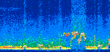/calipso-imagery/data/BROWSE/production/V5-00/2022-03-04/2022-03-04_01-05-52_V5.00_3_thmb.png image missing