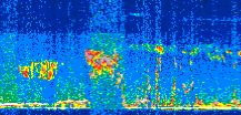 /calipso-imagery/data/BROWSE/production/V5-00/2022-03-04/2022-03-04_02-44-22_V5.00_2_thmb.png image missing