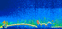 /calipso-imagery/data/BROWSE/production/V5-00/2022-03-06/2022-03-06_10-33-49_V5.00_1_thmb.png image missing