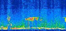 /calipso-imagery/data/BROWSE/production/V5-00/2022-03-06/2022-03-06_22-03-26_V5.00_3_thmb.png image missing
