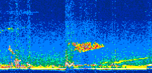 /calipso-imagery/data/BROWSE/production/V5-00/2022-03-07/2022-03-07_01-20-26_V5.00_3_thmb.png image missing