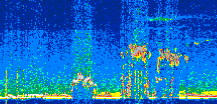 /calipso-imagery/data/BROWSE/production/V5-00/2022-03-07/2022-03-07_11-11-28_V5.00_2_thmb.png image missing