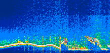 /calipso-imagery/data/BROWSE/production/V5-00/2022-03-07/2022-03-07_12-50-03_V5.00_1_thmb.png image missing
