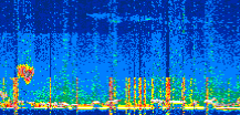 /calipso-imagery/data/BROWSE/production/V5-00/2022-03-07/2022-03-07_21-02-34_V5.00_2_thmb.png image missing
